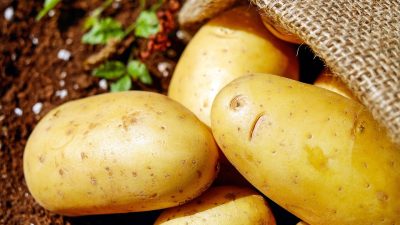 pomme-de-terre