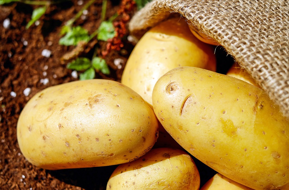 pomme-de-terre
