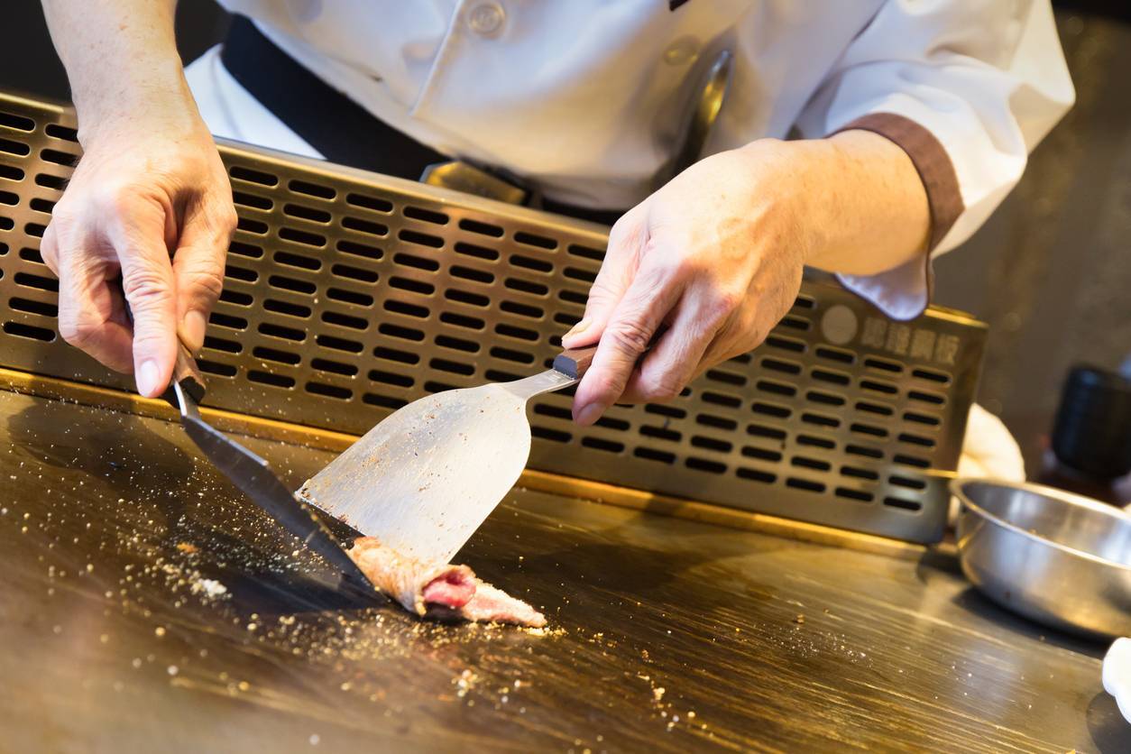plancha électrique en inox