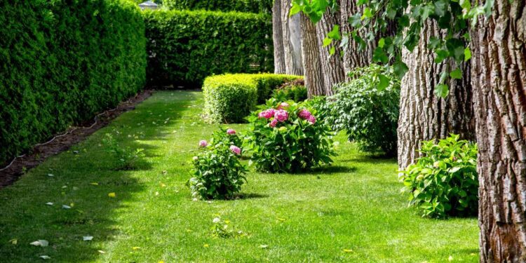 Les différents types de brise-vue pour la maison et le jardin