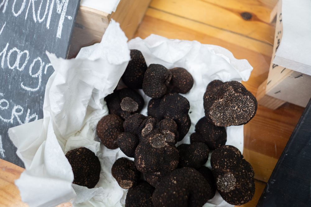 truffe-perigord