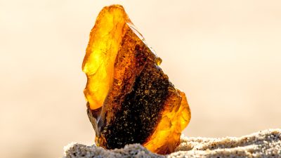 ambre