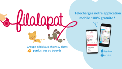 filapat-banniere