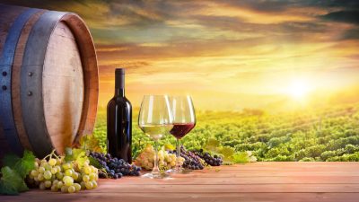 vignoble