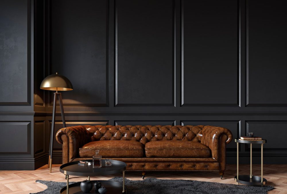 salon-avec-cuir