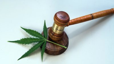 concept-cbd-loi