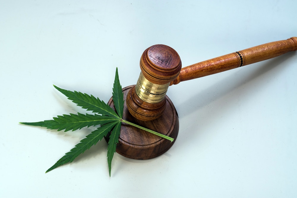 concept-cbd-loi