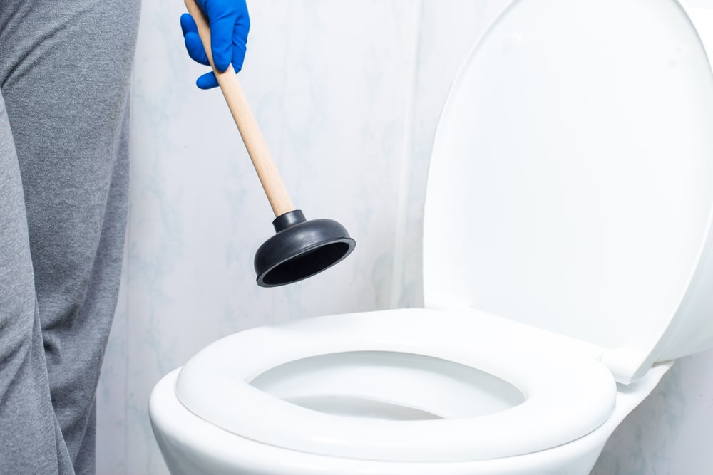 toilettes ventouse